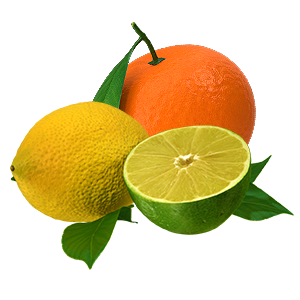 vůně Citrusové plody